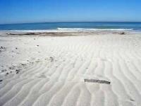 Ingrandisci in finestra separata