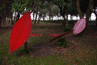 Ingrandisci in finestra separata