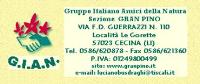 Ingrandisci in finestra separata