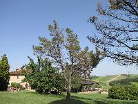 Ingrandisci in finestra separata